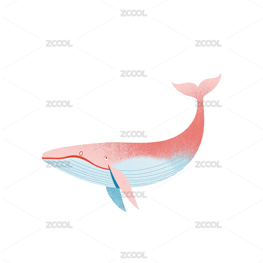 動(dòng)物_鯨魚（主預(yù)覽-9962597） - 未分類 - 站酷設(shè)計(jì)師站酷素材原創(chuàng)素材 - 站酷ZCOOL