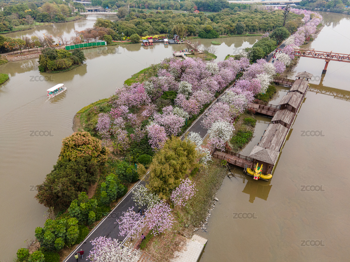航拍廣州海珠湖和海珠濕地公園（主預(yù)覽-5591676） - 未分類 - 站酷設(shè)計師AdolescentChat原創(chuàng)素材 - 站酷ZCOOL