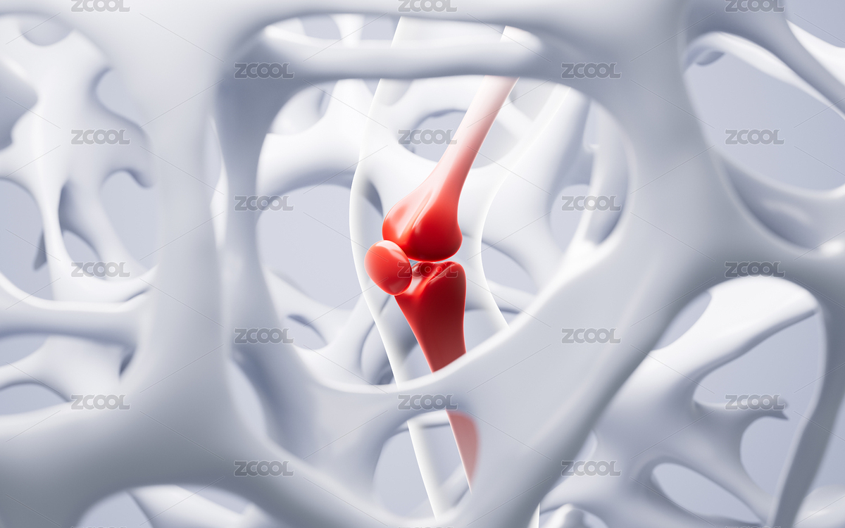 抽象多孔骨架和人类腿骨背景3D渲染（主预览-11833265） - 未分类 - 站酷设计师TinaJi0718原创素材 - 站酷ZCOOL