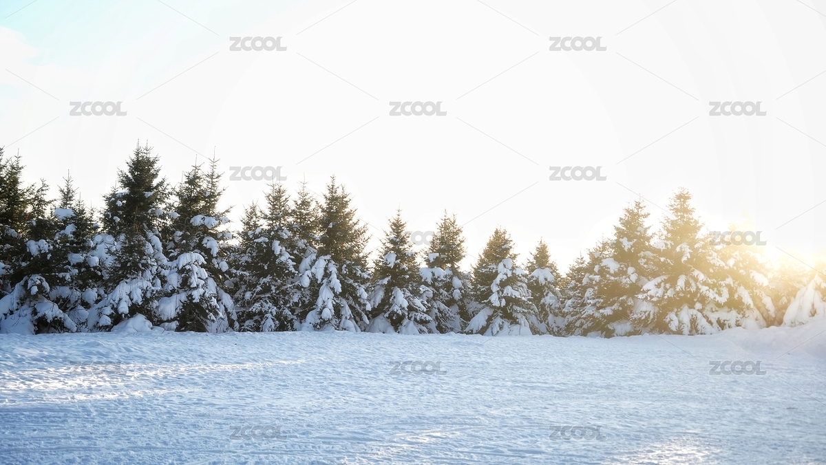 吉林長白山雪嶺冬季雪松霧凇景色（主預(yù)覽-8391956） - 未分類 - 站酷設(shè)計師colins123原創(chuàng)素材 - 站酷ZCOOL