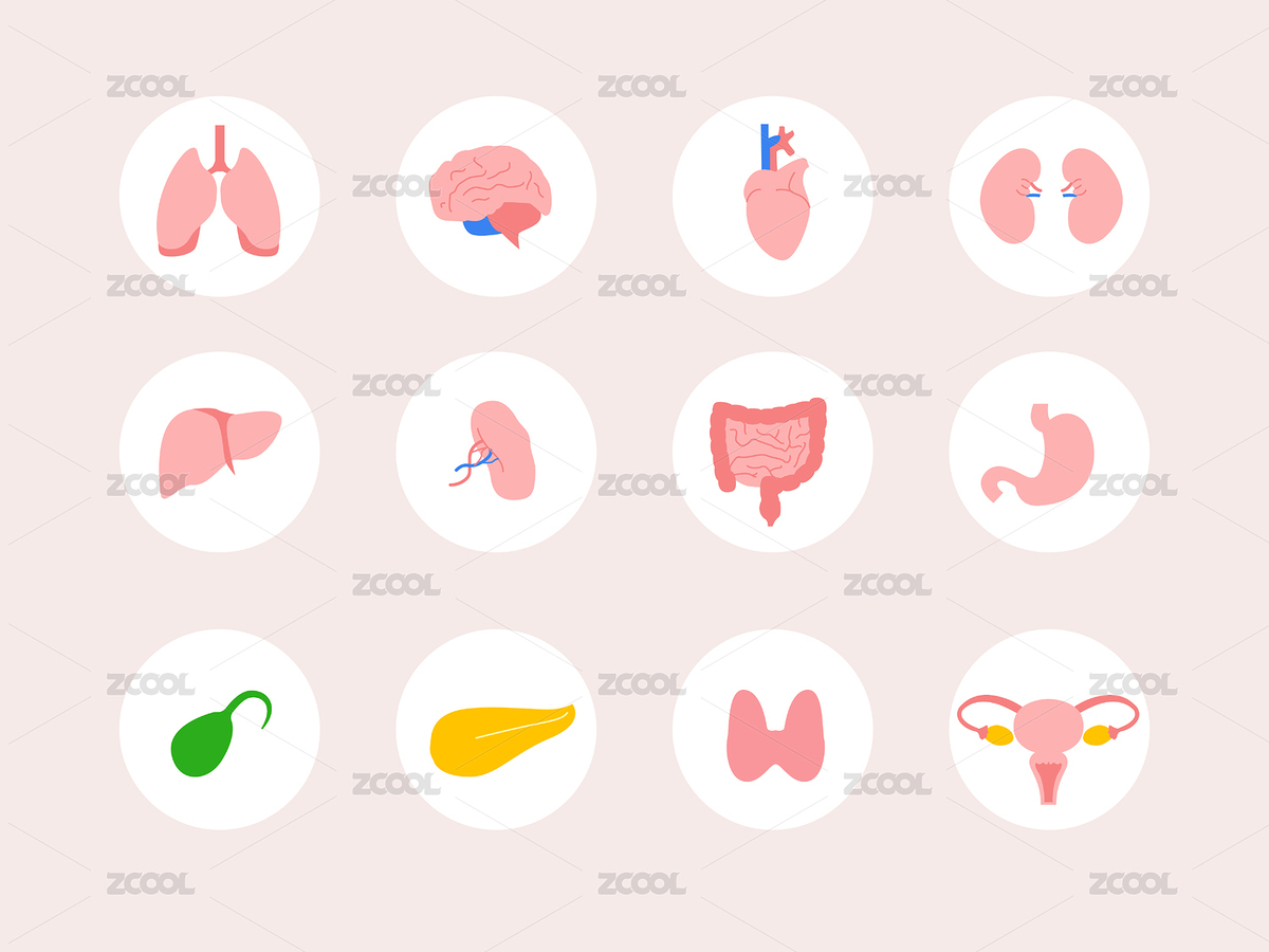 人體器官矢量圖標（主預(yù)覽-2664849） - 未分類 - 站酷設(shè)計師扁豆君Dream原創(chuàng)素材 - 站酷ZCOOL
