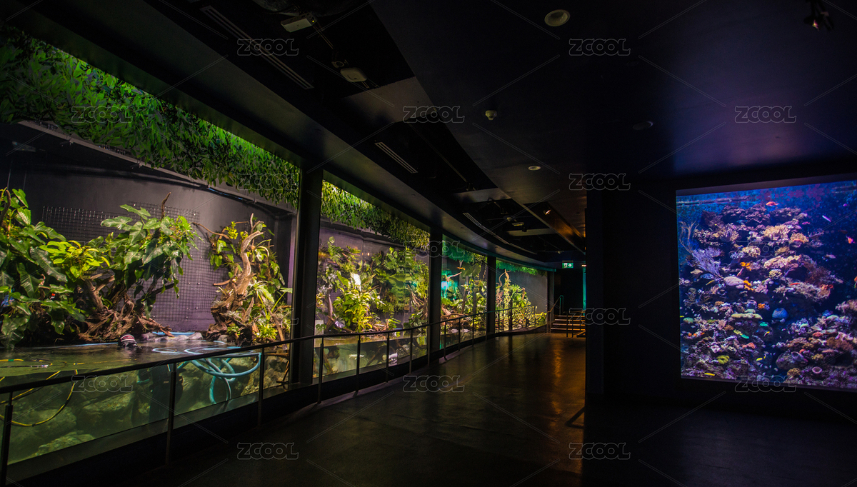 新加坡圣淘沙島，S.E.A.海洋館景觀（主預(yù)覽-6078362） - 未分類 - 站酷設(shè)計(jì)師Shirley_雪梨醬原創(chuàng)素材 - 站酷ZCOOL