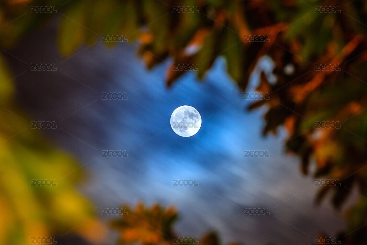 月亮（主預(yù)覽-5383340） - 未分類 - 站酷設(shè)計(jì)師月色2020原創(chuàng)素材 - 站酷ZCOOL