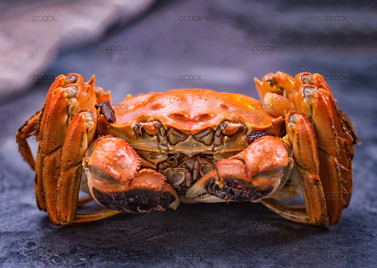 一只熟的大閘蟹（主預(yù)覽-3793198） - 未分類 - 站酷設(shè)計(jì)師zssp原創(chuàng)素材 - 站酷ZCOOL