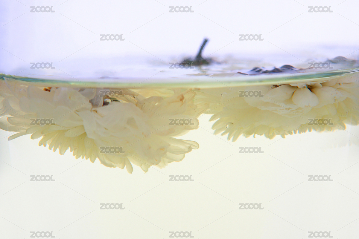 菊花茶（主預(yù)覽-661701） - 未分類 - 站酷設(shè)計(jì)師wangcn111原創(chuàng)素材 - 站酷ZCOOL