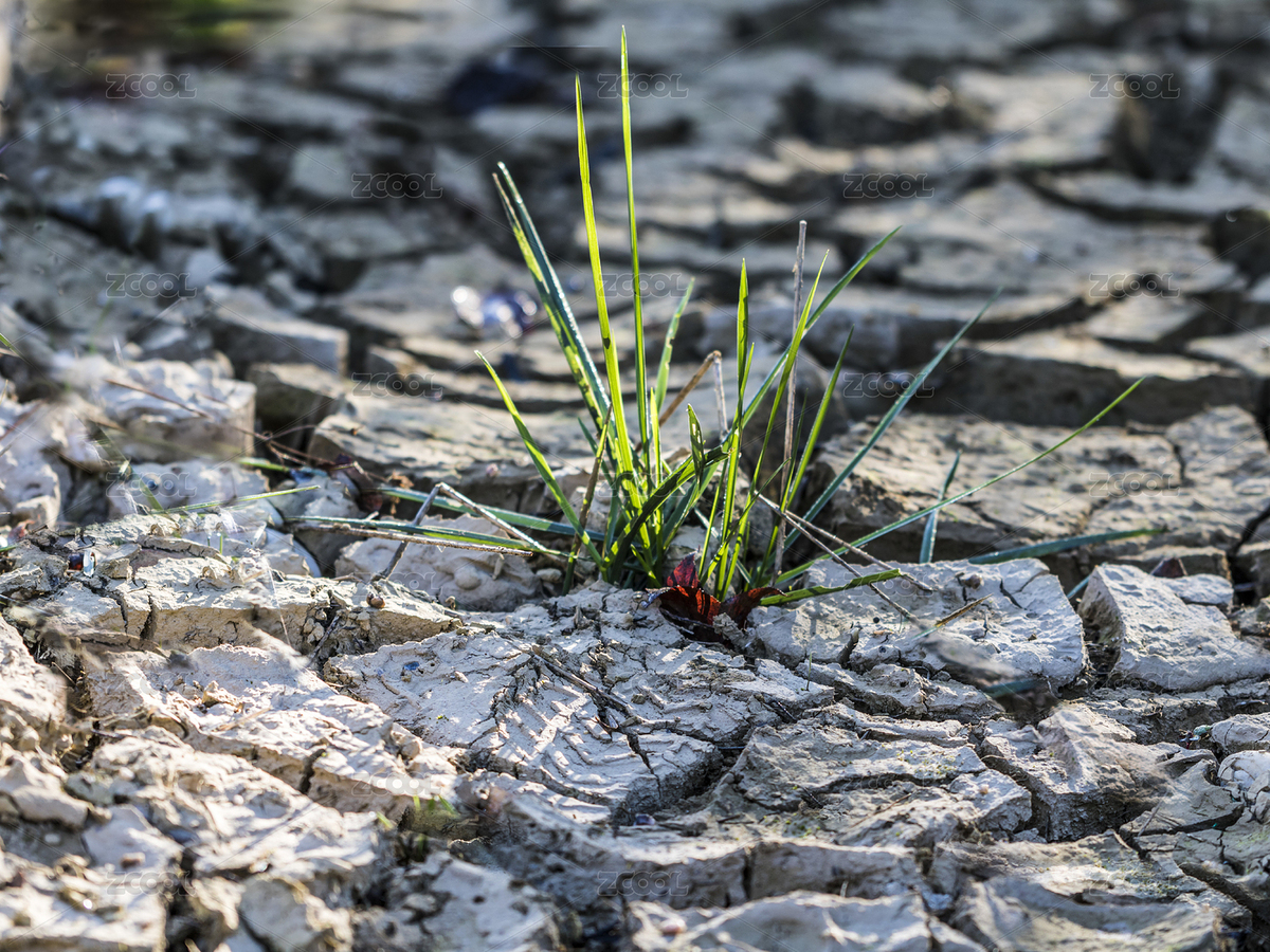 干涸的土地里生长出一棵绿草（主预览-6188496） - 未分类 - 站酷设计师yutaoc原创素材 - 站酷ZCOOL