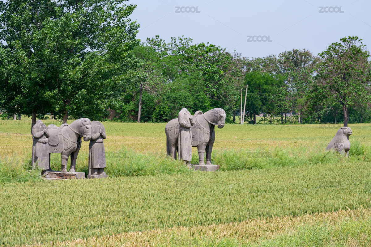 河南巩义麦地里宋陵中的雕像（主预览-7400762） - 未分类 - 站酷设计师Foto貓原创素材 - 站酷ZCOOL
