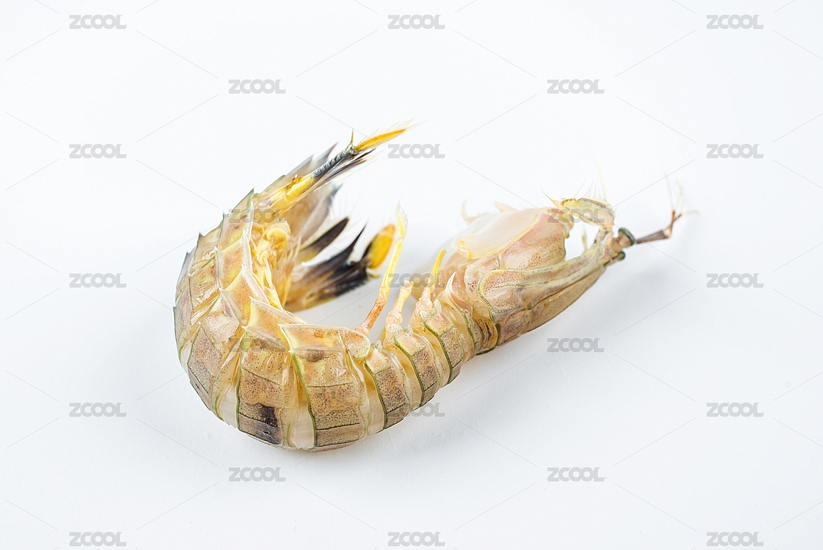 白背景上一只新鮮的皮皮蝦（主預(yù)覽-5854896） - 未分類 - 站酷設(shè)計(jì)師風(fēng)暴麗麗原創(chuàng)素材 - 站酷ZCOOL