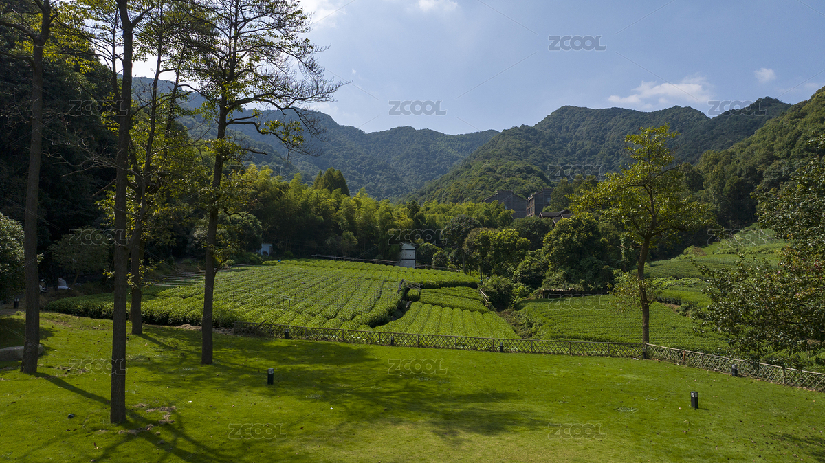 杭州龍塢茶園航拍（主預覽-6641354） - 未分類 - 站酷設計師初小夏夏原創(chuàng)素材 - 站酷ZCOOL