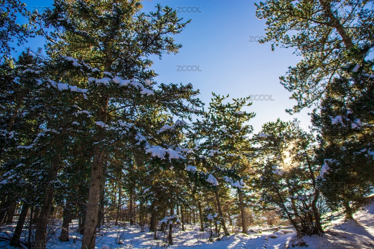 宁夏贺兰山苏峪口国家公园冬日雪后风光（主预览-201501） - 未分类 - 站酷设计师vicallv原创素材 - 站酷ZCOOL