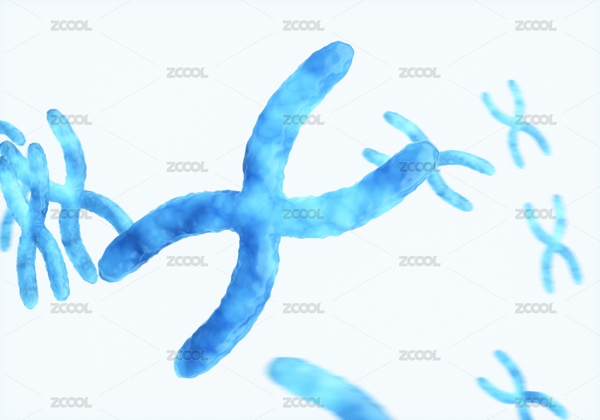 3D渲染的染色體（主預(yù)覽-7726749） - 未分類 - 站酷設(shè)計師龍?zhí)拙褪驱執(zhí)自瓌?chuàng)素材 - 站酷ZCOOL