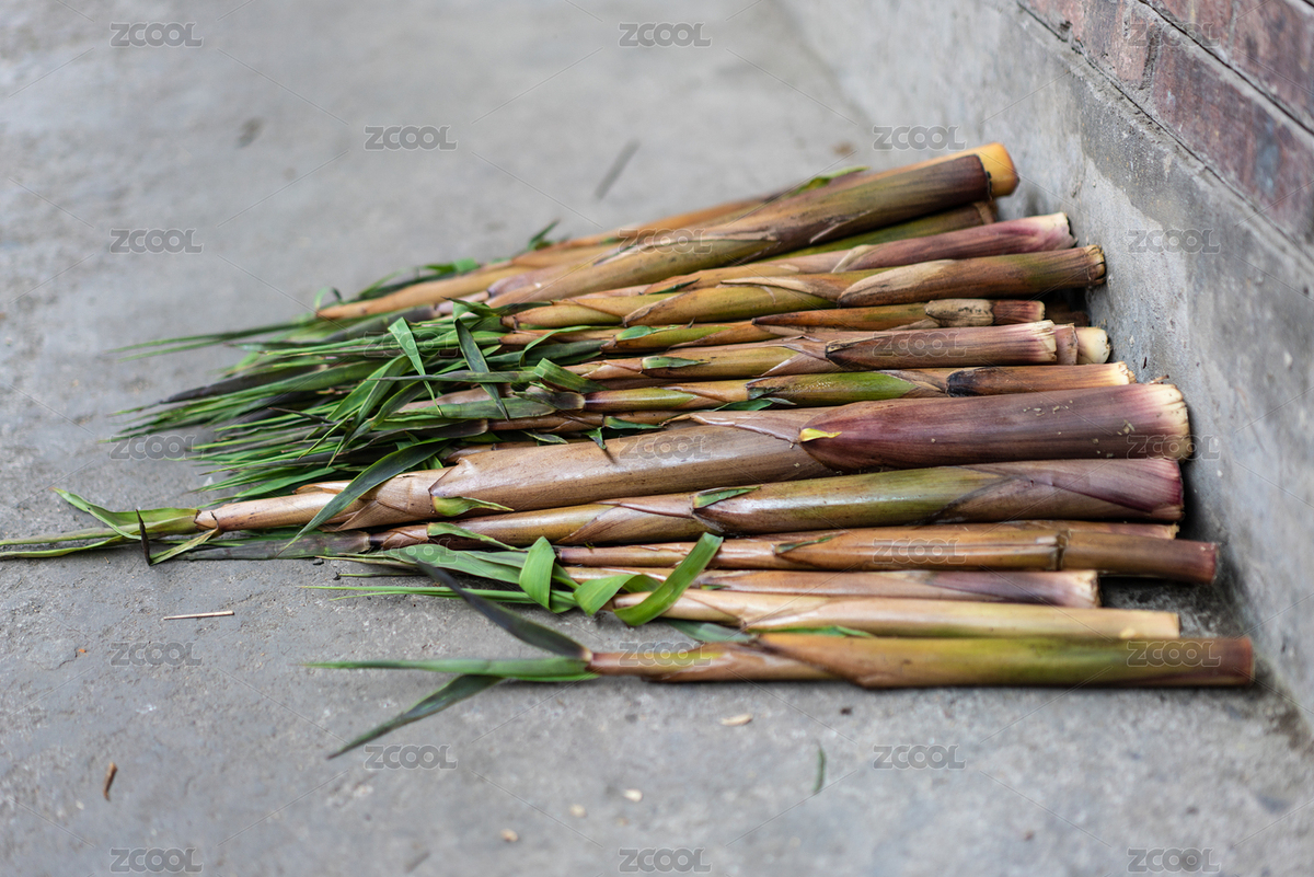 地上的一堆中國傳統(tǒng)食材新鮮竹筍（主預(yù)覽-7673745） - 未分類 - 站酷設(shè)計師yuanbo83原創(chuàng)素材 - 站酷ZCOOL