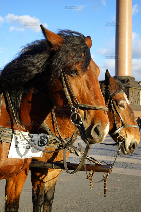 歐式馬車（主預(yù)覽-8145368） - 未分類 - 站酷設(shè)計(jì)師會(huì)畫畫的喵喵喵原創(chuàng)素材 - 站酷ZCOOL