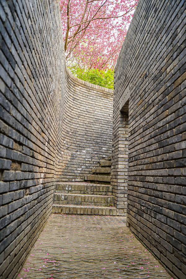 狹窄的道路桃花過(guò)道石磚花瓣（主預(yù)覽-7980365） - 未分類(lèi) - 站酷設(shè)計(jì)師文樸先生原創(chuàng)素材 - 站酷ZCOOL