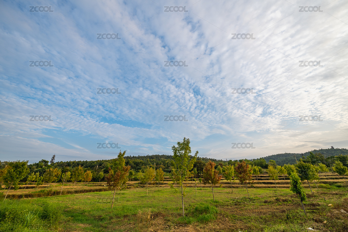 馬鞍山森林公園（東湖吹笛景區(qū)）（主預覽-8843024） - 未分類 - 站酷設計師Lyirs原創(chuàng)素材 - 站酷ZCOOL