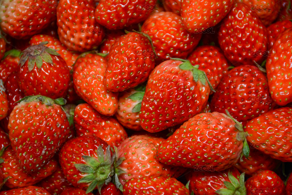 草莓高角度（主預(yù)覽-1296619） - 未分類 - 站酷設(shè)計(jì)師冷雪攝影工作室原創(chuàng)素材 - 站酷ZCOOL
