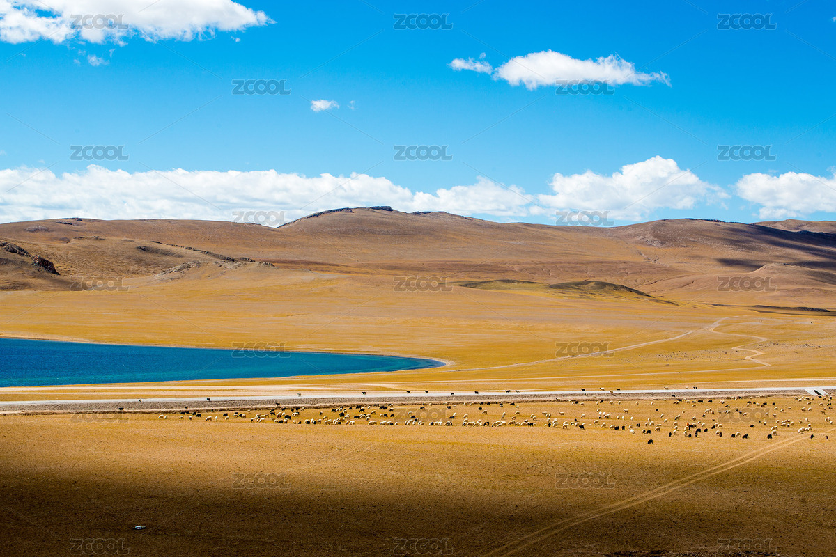 西藏（主预览-8968468） - 未分类 - 站酷设计师漂流100原创素材 - 站酷ZCOOL