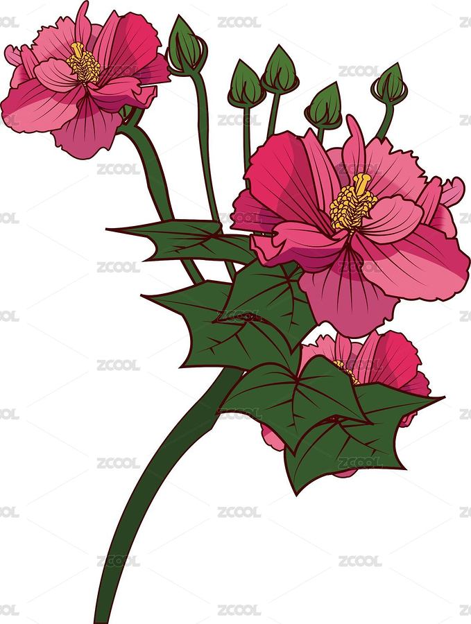 盛開的芙蓉花（主預(yù)覽-4030315） - 未分類 - 站酷設(shè)計師還不夠原創(chuàng)素材 - 站酷ZCOOL