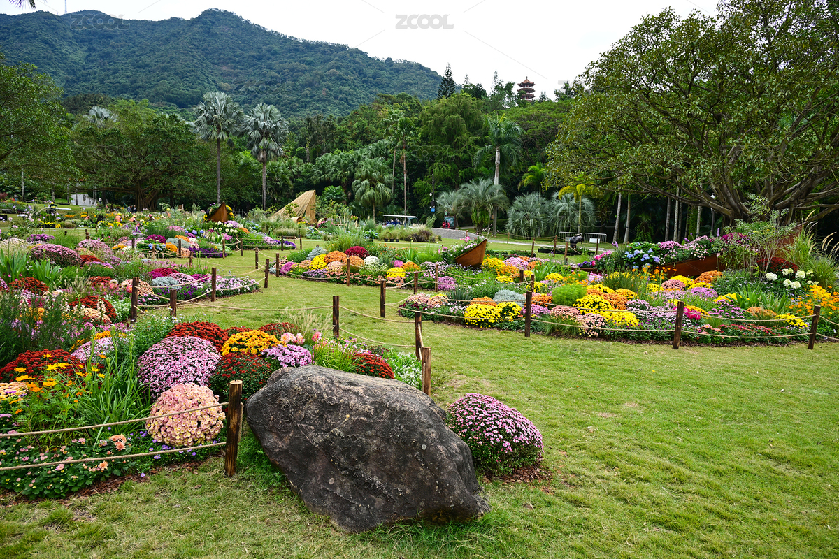 深圳仙湖植物园繁花盛开的五彩花海花展景观（主预览-12569907） - 未分类 - 站酷设计师群之辉视觉原创素材 - 站酷ZCOOL