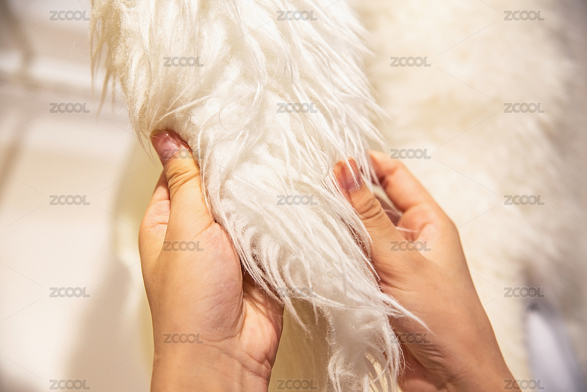 皮革市場的整塊羊皮羊毛（主預(yù)覽-3888193） - 未分類 - 站酷設(shè)計師風(fēng)暴麗麗原創(chuàng)素材 - 站酷ZCOOL