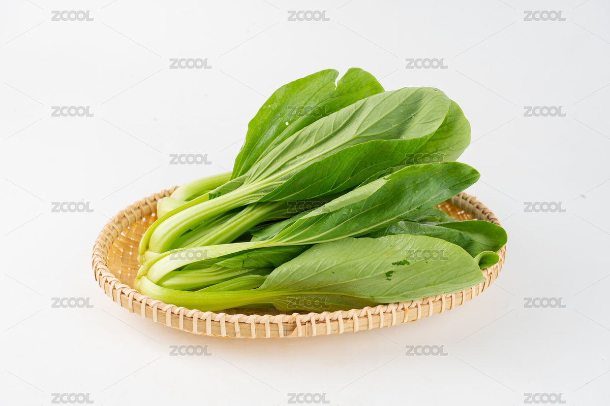 小青菜油菜（主預(yù)覽-7809160） - 未分類 - 站酷設(shè)計師安147123原創(chuàng)素材 - 站酷ZCOOL