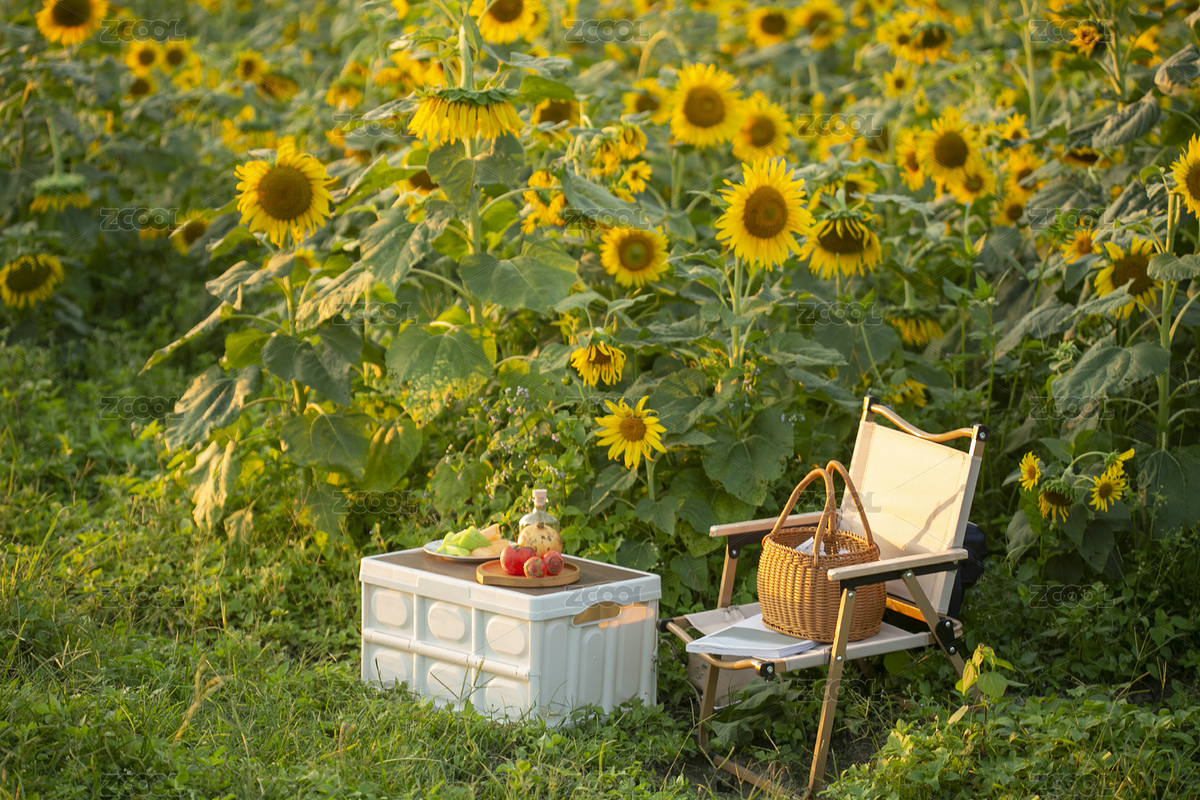 向日葵花海户外休闲椅包包（主预览-9484633） - 未分类 - 站酷设计师溯溪river原创素材 - 站酷ZCOOL