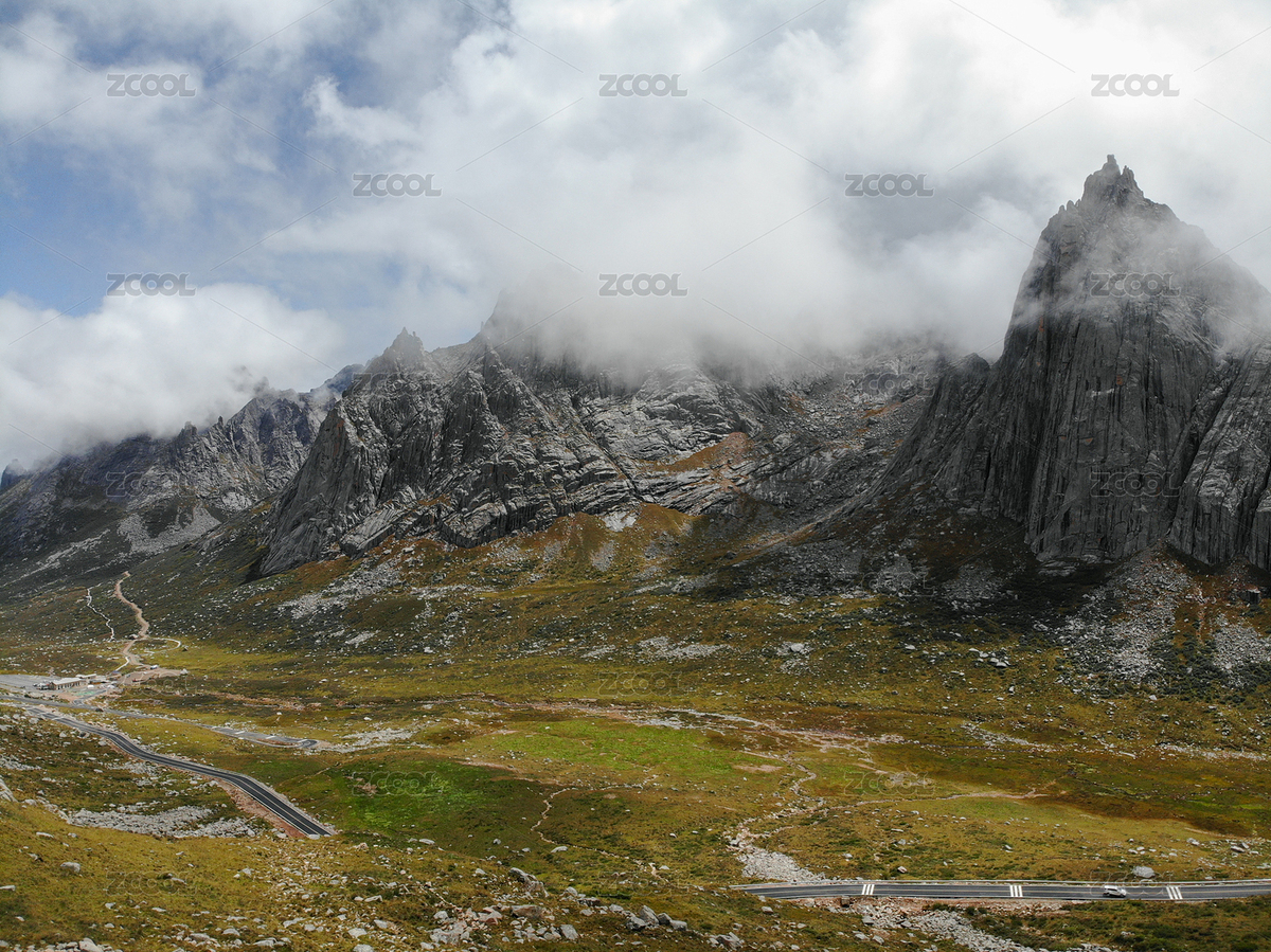 莲宝叶则（主预览-6808148） - 未分类 - 站酷设计师再见长夜原创素材 - 站酷ZCOOL