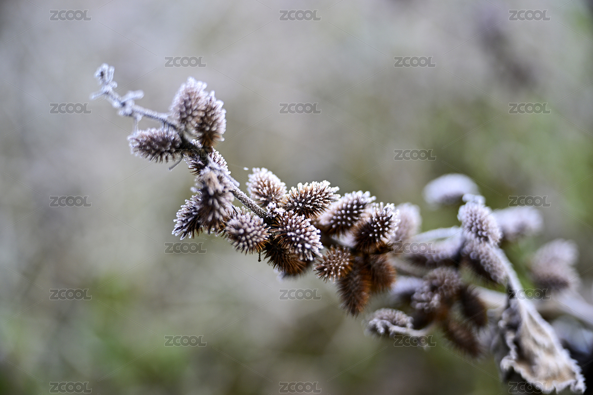 重慶酉陽霜染鄉(xiāng)村，日出璀璨映田園 20（主預覽-8796916） - 未分類 - 站酷設(shè)計師hy4262原創(chuàng)素材 - 站酷ZCOOL