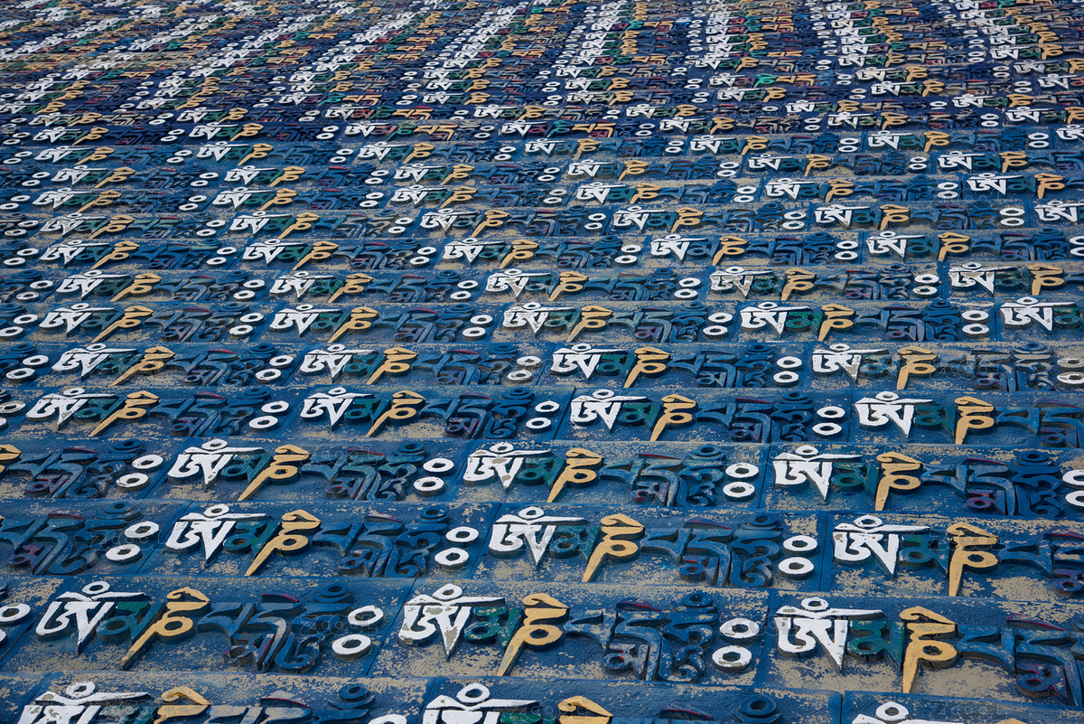 中國青?，敹喔袼_爾王廣場（主預(yù)覽-1936484） - 未分類 - 站酷設(shè)計(jì)師蘇巖原創(chuàng)素材 - 站酷ZCOOL