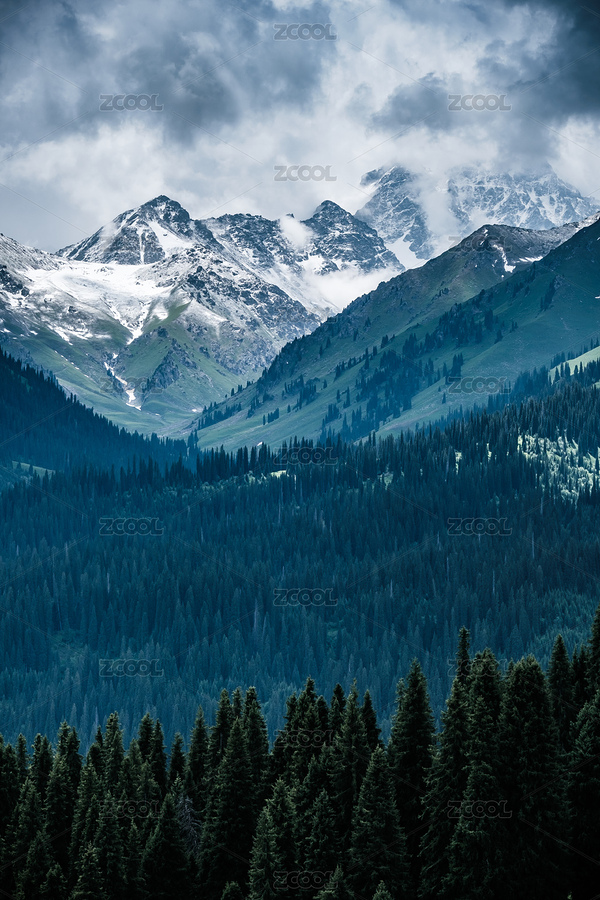 中國新疆伊犁庫爾德寧草原雪山森林自然風光（主預覽-9029950） - 未分類 - 站酷設計師陳小羊Timeline原創(chuàng)素材 - 站酷ZCOOL