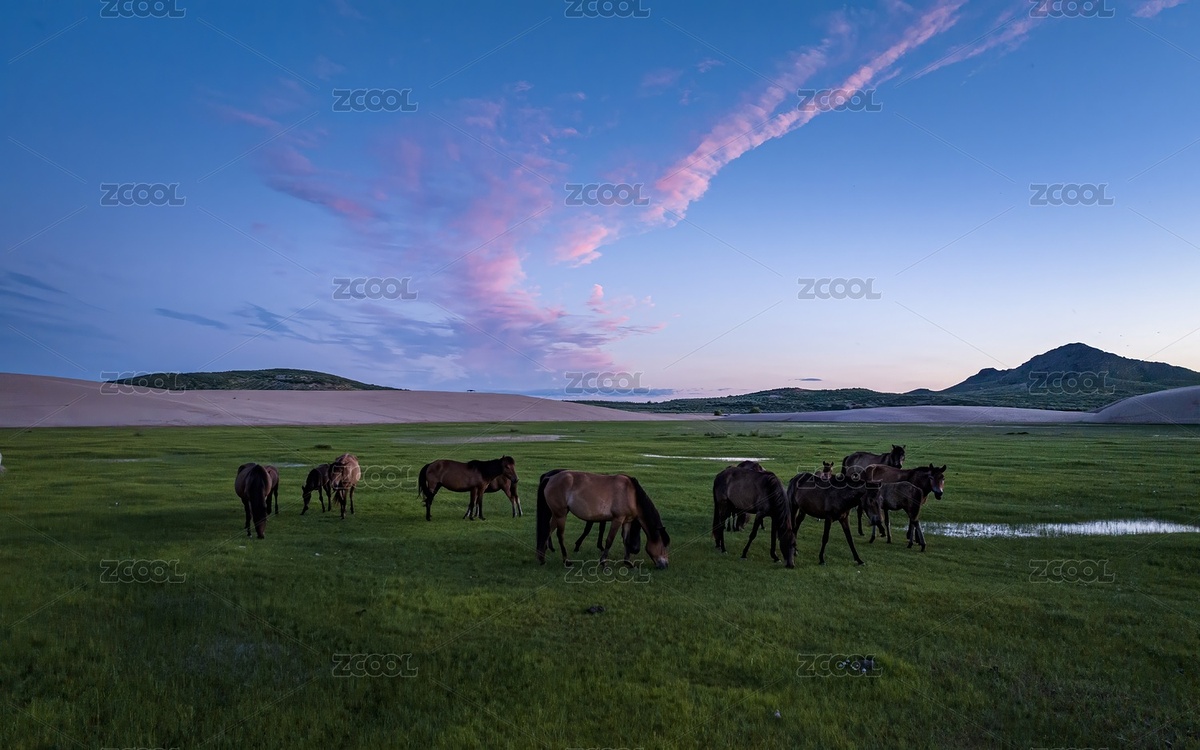 內(nèi)蒙古赤峰翁根毛都沙漠旅游度假村航拍（主預(yù)覽-11102412） - 未分類 - 站酷設(shè)計師JuikangHsieh原創(chuàng)素材 - 站酷ZCOOL