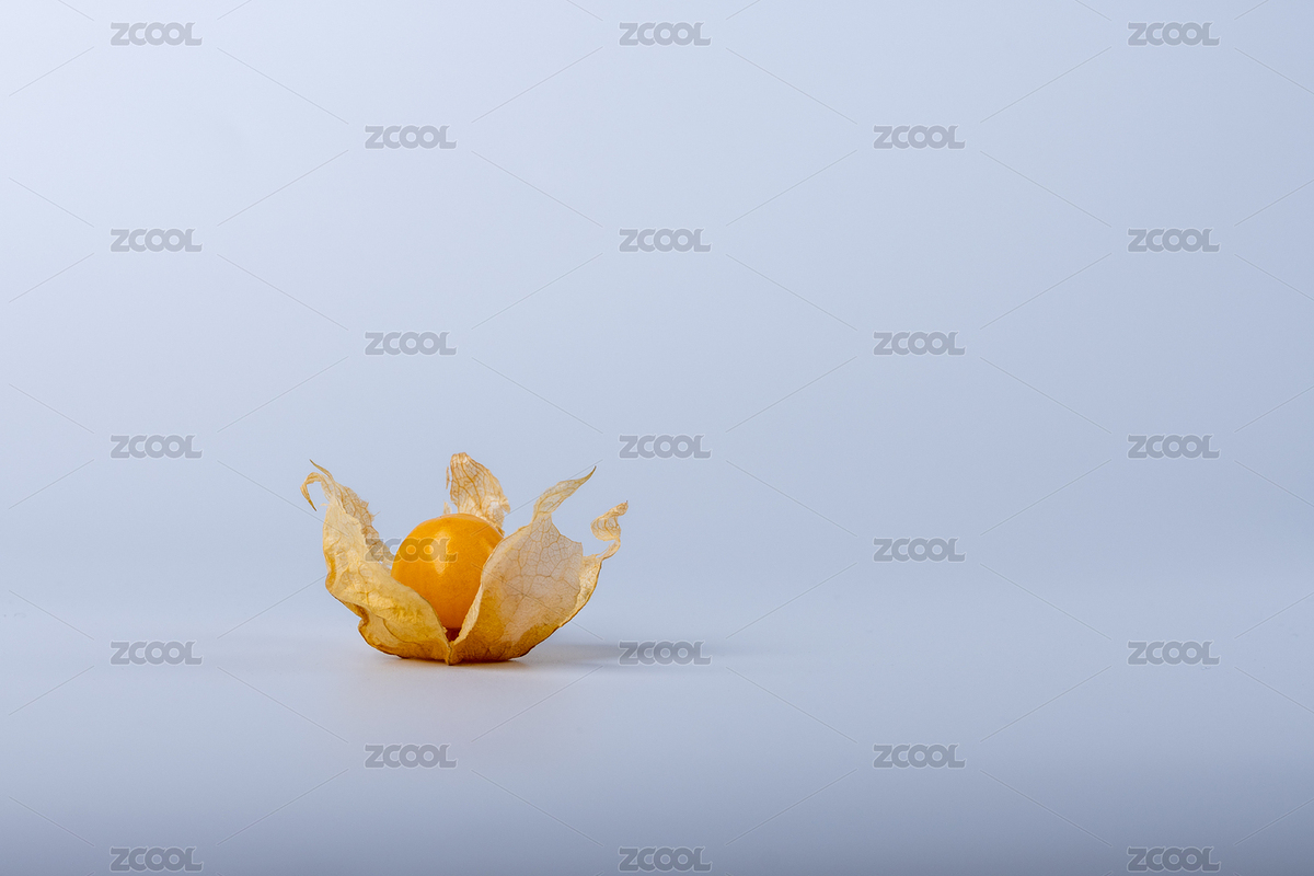白色背景下的姑娘果（主預(yù)覽-8784617） - 未分類 - 站酷設(shè)計(jì)師Alonica_Shen原創(chuàng)素材 - 站酷ZCOOL