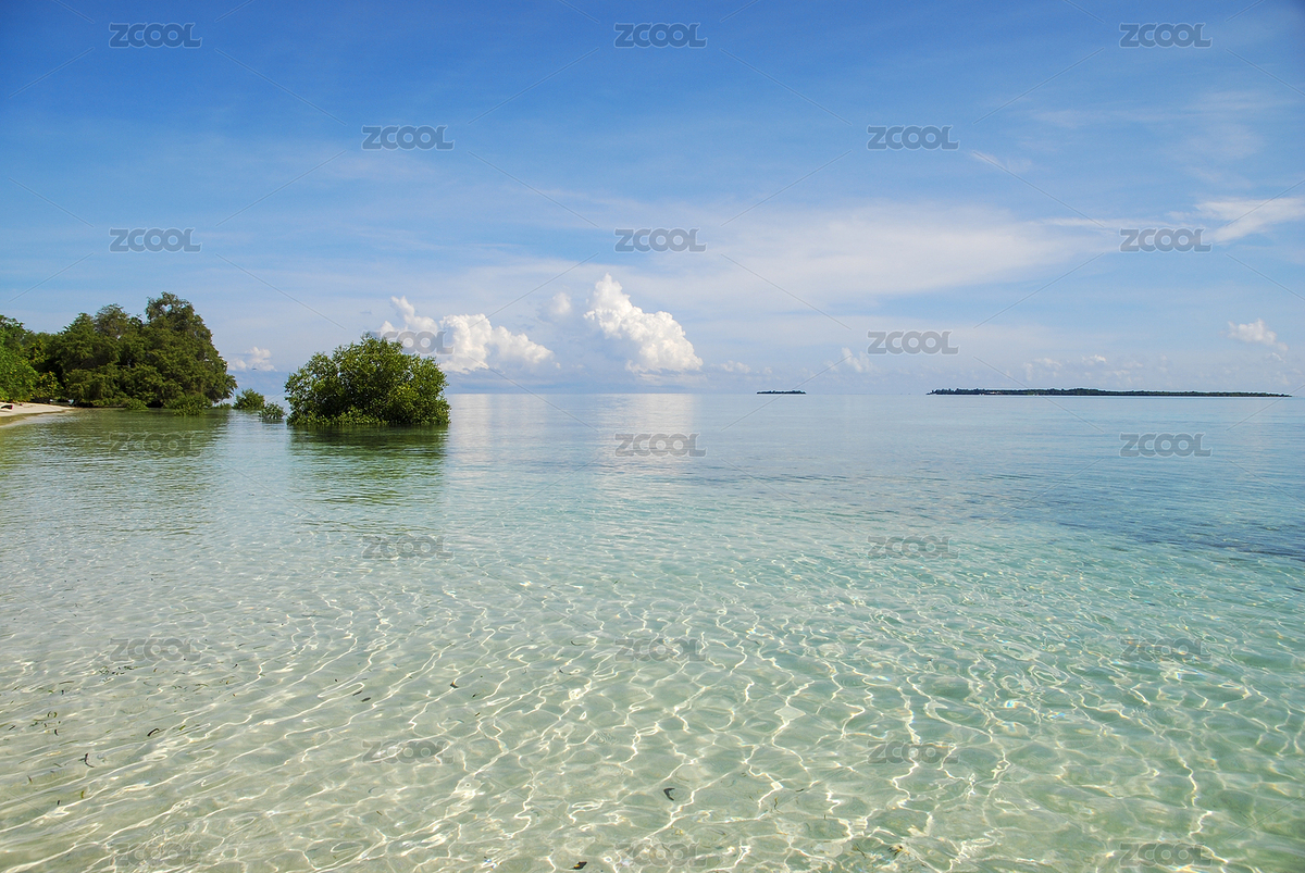 熱帶海洋和島嶼上的植物（主預(yù)覽-6059011） - 未分類 - 站酷設(shè)計(jì)師Sunshine4213原創(chuàng)素材 - 站酷ZCOOL