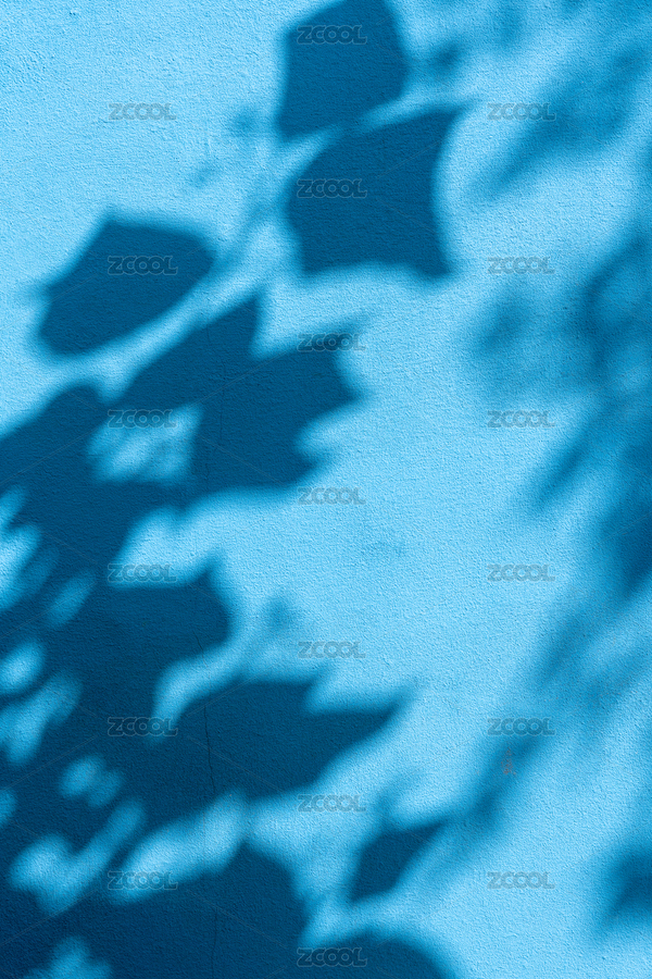 藍(lán)色水泥墻上的葉子光影（主預(yù)覽-4134873） - 未分類 - 站酷設(shè)計(jì)師快門俠yang原創(chuàng)素材 - 站酷ZCOOL