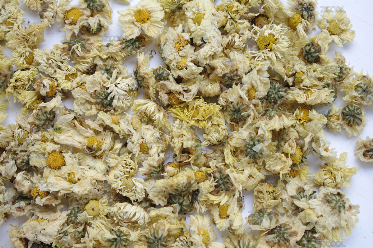 菊花茶（主預(yù)覽-5940894） - 未分類 - 站酷設(shè)計師wmei5881原創(chuàng)素材 - 站酷ZCOOL