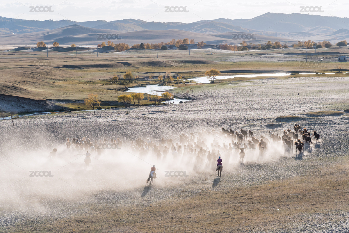內(nèi)蒙古赤峰烏蘭布統(tǒng)草原賽馬場的馬群（主預(yù)覽-8808711） - 未分類 - 站酷設(shè)計師zkhlxm原創(chuàng)素材 - 站酷ZCOOL