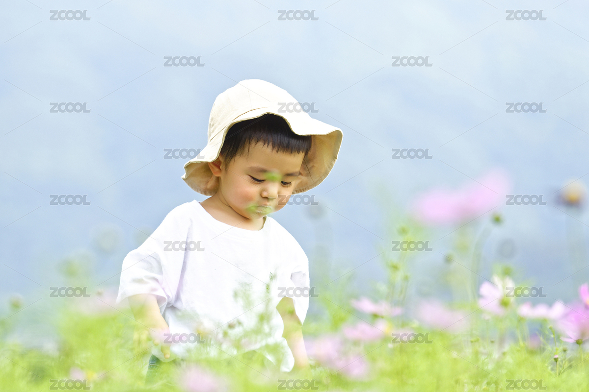 一個戴帽子的幼童在花叢中玩耍（主預覽-2402069） - 未分類 - 站酷設計師紅門菜菜原創(chuàng)素材 - 站酷ZCOOL