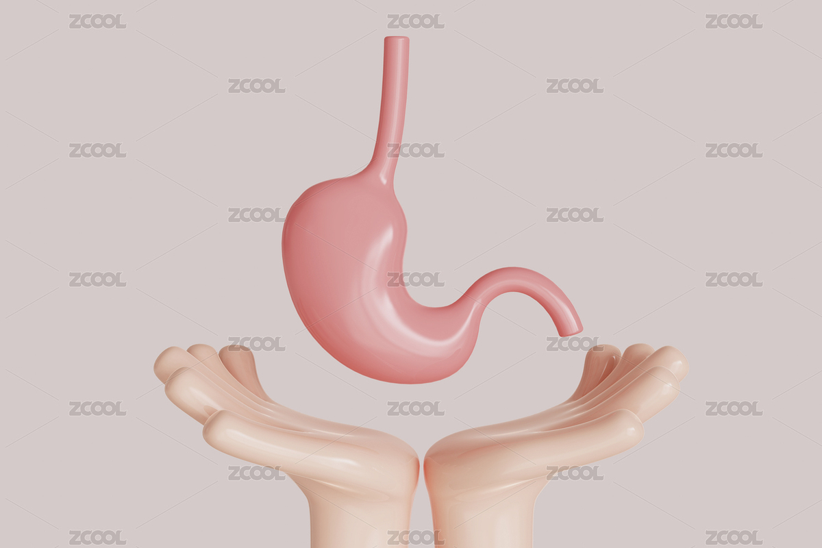 保護(hù)胃部器官概念三維插畫（主預(yù)覽-4870676） - 未分類 - 站酷設(shè)計(jì)師粘鍋原創(chuàng)素材 - 站酷ZCOOL