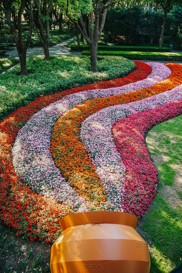 夏天，上海徐家匯公園里的植物花卉景觀（主預(yù)覽-11529807） - 未分類 - 站酷設(shè)計(jì)師Shirley_雪梨醬原創(chuàng)素材 - 站酷ZCOOL
