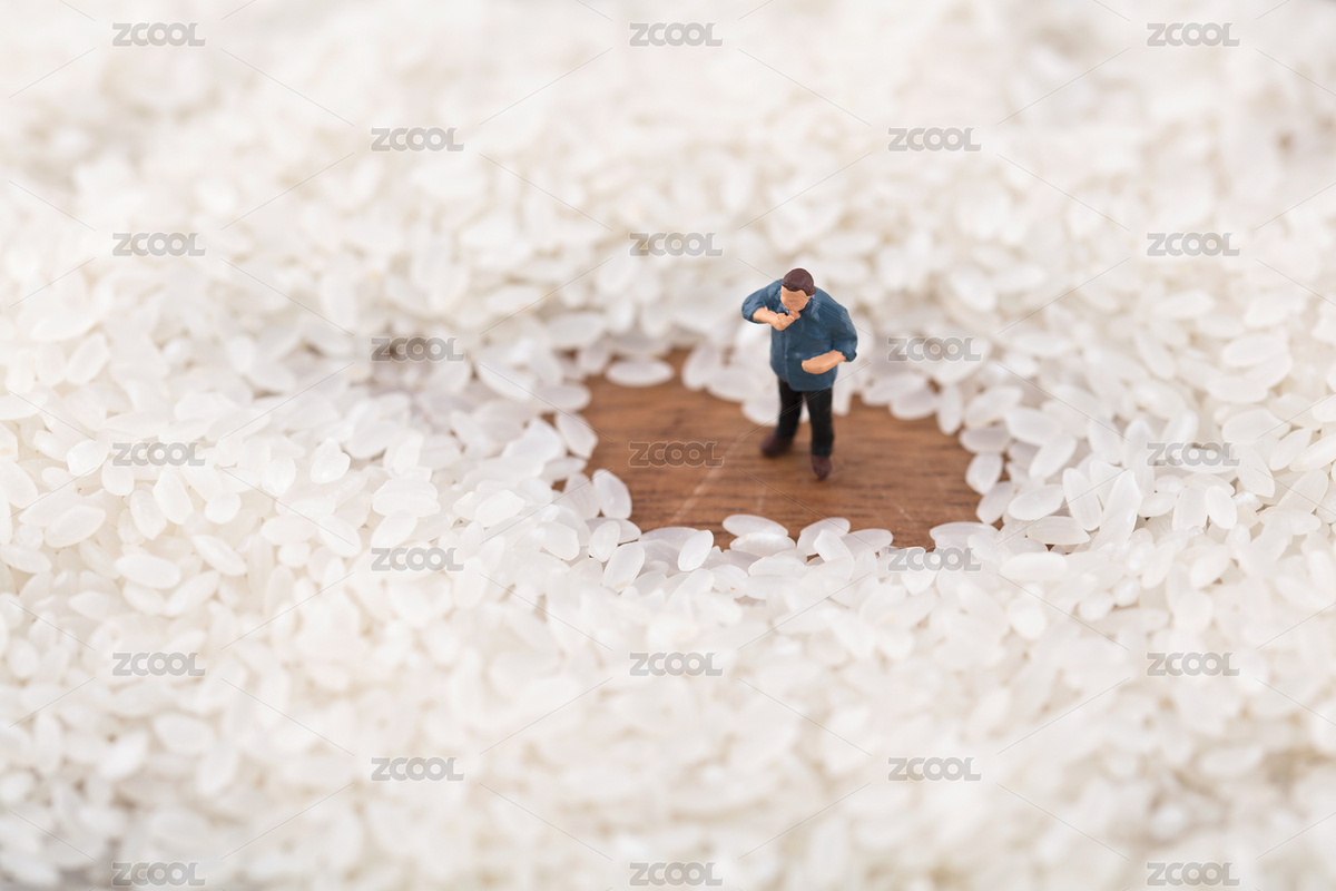 微縮世界大米主食（主預(yù)覽-6300586） - 未分類 - 站酷設(shè)計(jì)師小羽怪原創(chuàng)素材 - 站酷ZCOOL