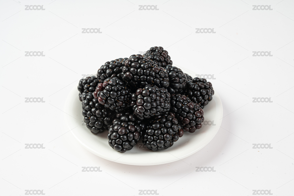 白底上的黑莓特寫（主預覽-12690292） - 未分類 - 站酷設計師hummingbird2原創(chuàng)素材 - 站酷ZCOOL