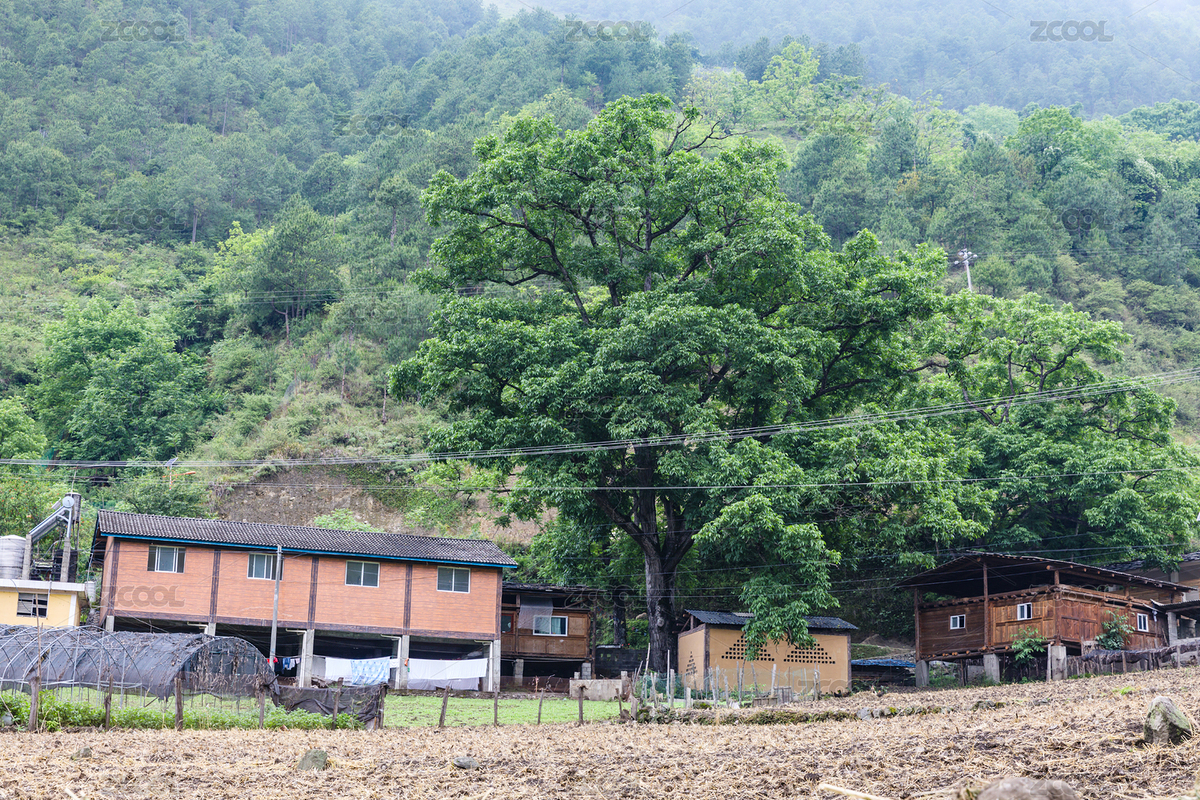 中國云南丙察察公路怒族村莊秋那桶（主預(yù)覽-8616145） - 未分類 - 站酷設(shè)計師劉劍偉原創(chuàng)素材 - 站酷ZCOOL
