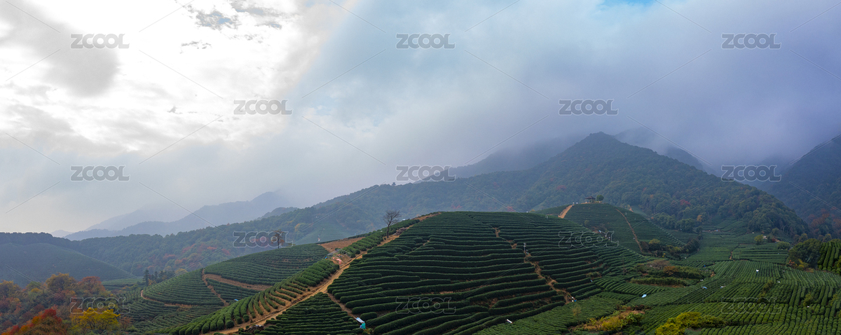 浙江省杭州西湖區(qū)龍塢茶園秋色航拍（主預(yù)覽-5181492） - 未分類 - 站酷設(shè)計(jì)師zhl430430原創(chuàng)素材 - 站酷ZCOOL