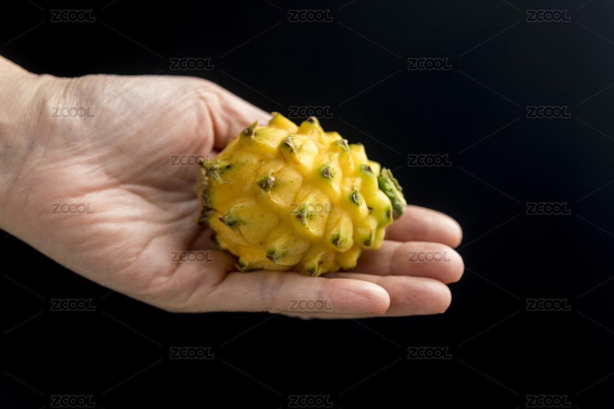 新鮮的燕窩果擺放在桌面上特寫（主預覽-4737317） - 未分類 - 站酷設計師金翅大鵬原創(chuàng)素材 - 站酷ZCOOL