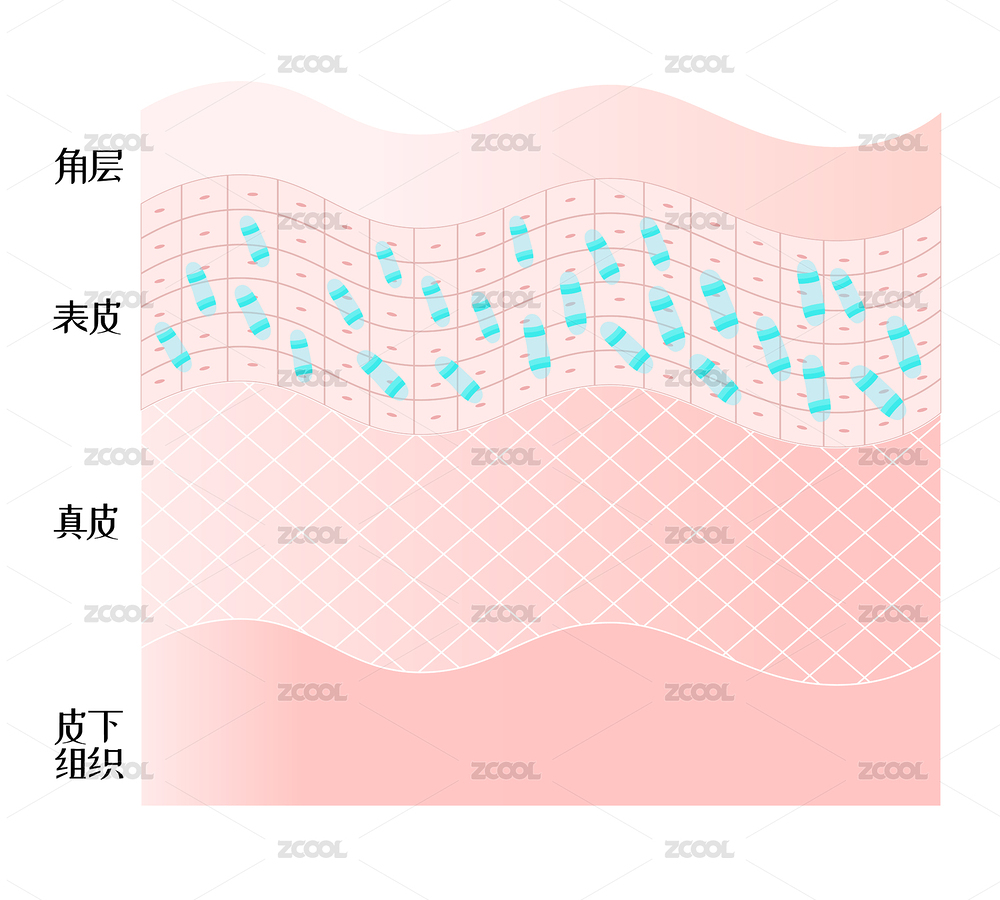 真菌侵蝕表皮細胞矢量插畫素材（主預覽-8662059） - 未分類 - 站酷設(shè)計師點暢原創(chuàng)素材 - 站酷ZCOOL