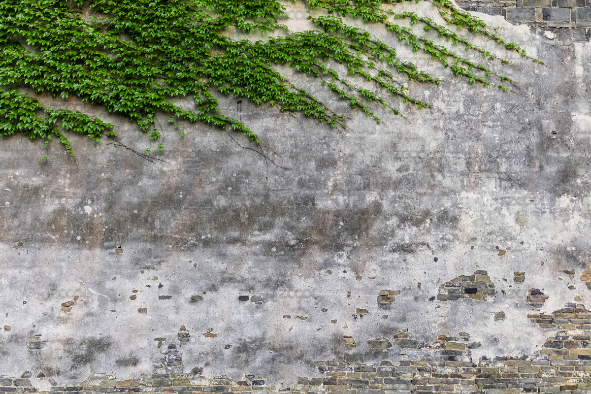 墙（主预览-6849191） - 未分类 - 站酷设计师UNBRIDLED原创素材 - 站酷ZCOOL