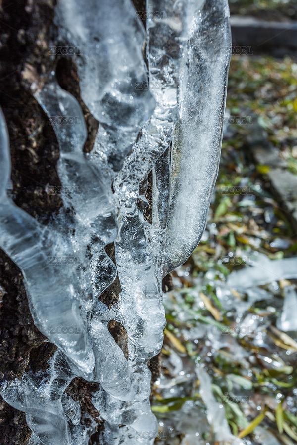 冰花（主預(yù)覽-6556072） - 未分類 - 站酷設(shè)計師鳳之靈原創(chuàng)素材 - 站酷ZCOOL