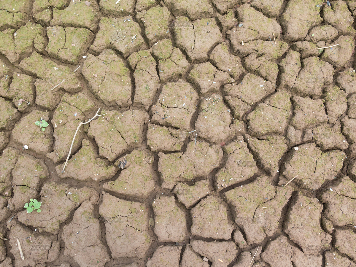 干旱龟裂的土地（主预览-8508083） - 未分类 - 站酷设计师品空原创素材 - 站酷ZCOOL