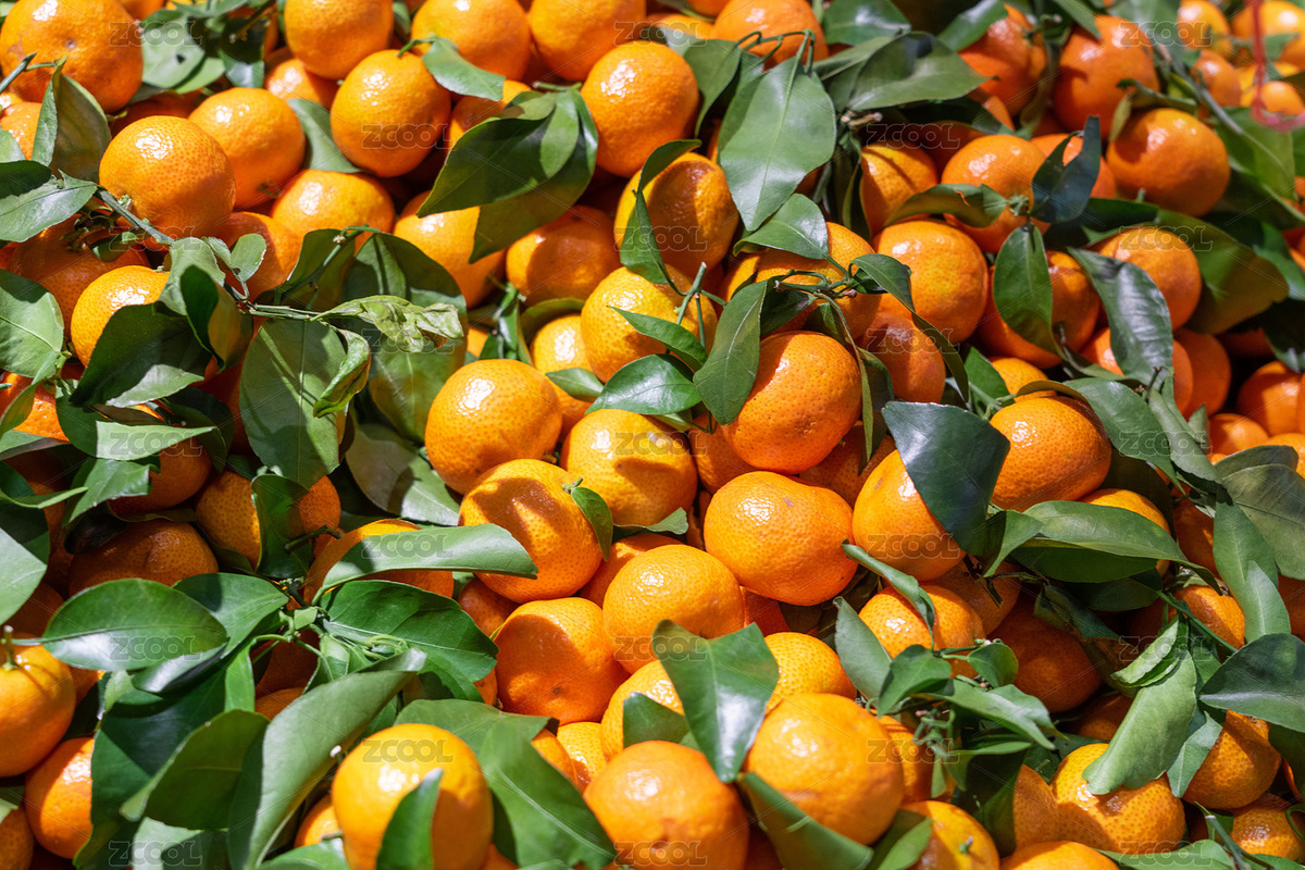 新鮮的砂糖桔小橘子（主預(yù)覽-12615771） - 未分類 - 站酷設(shè)計師平和的總是美好的原創(chuàng)素材 - 站酷ZCOOL