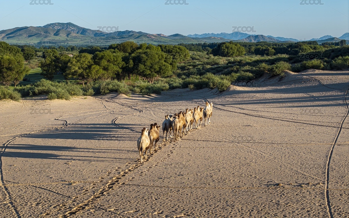 內(nèi)蒙古赤峰翁根毛都沙漠旅游度假村航拍（主預(yù)覽-11102476） - 未分類 - 站酷設(shè)計(jì)師JuikangHsieh原創(chuàng)素材 - 站酷ZCOOL